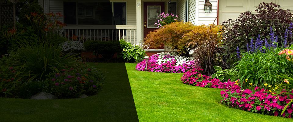 Tarrytown Landscapers