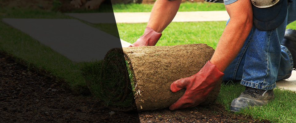 Tarrytown Landscapers